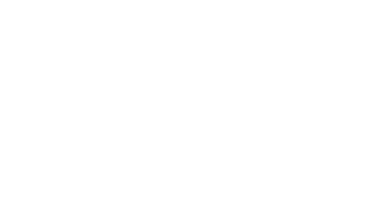 Santelectric